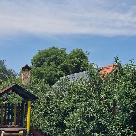 Pensiunea Silba Vad  Esterno foto
